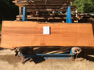 Hemlock Slab 6169 Hemlock Slab 6169